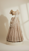 Champagne Embroidered Lehenga Set